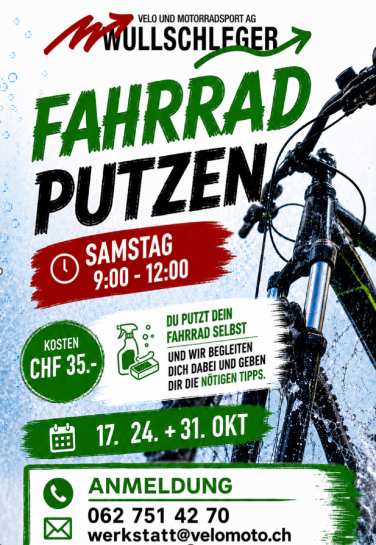 FAHRRAD PUTZEN